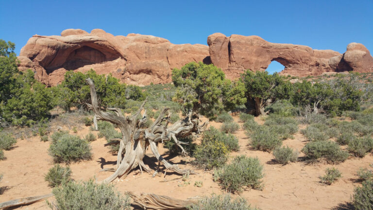 Arches_National_Park50