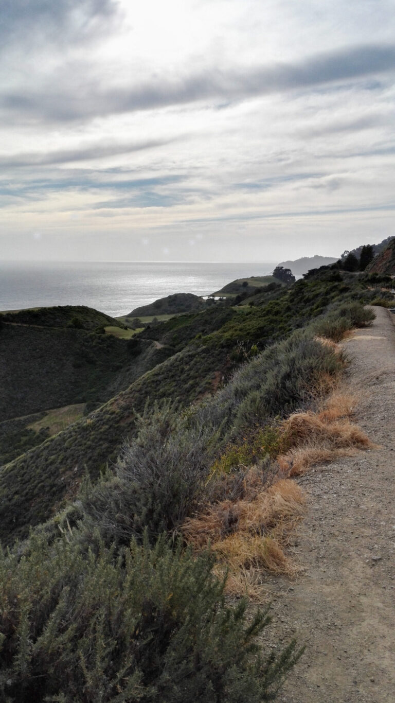 Big_Sur18