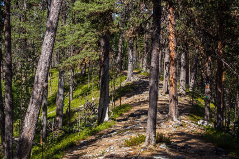 Lappi072020 (123 of 141)