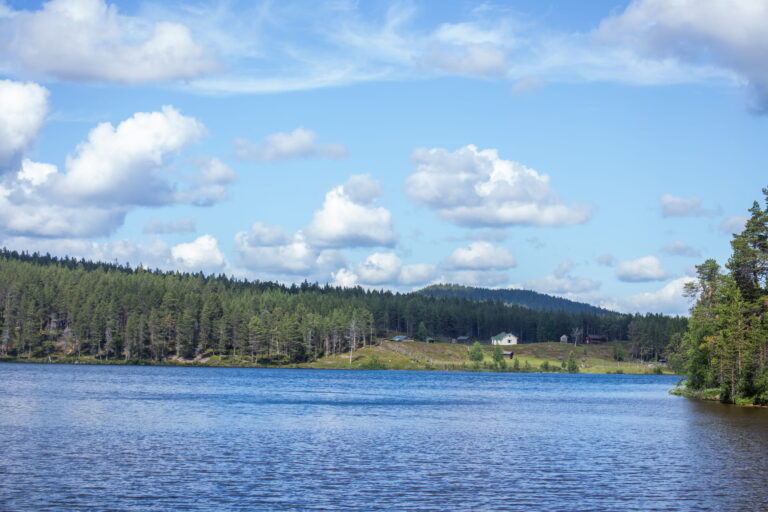 Lappi072020 (124 of 141)