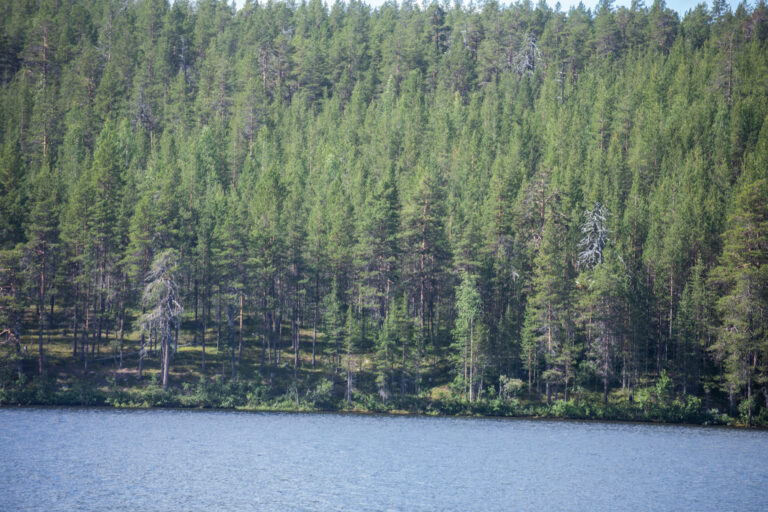 Lappi072020 (127 of 141)