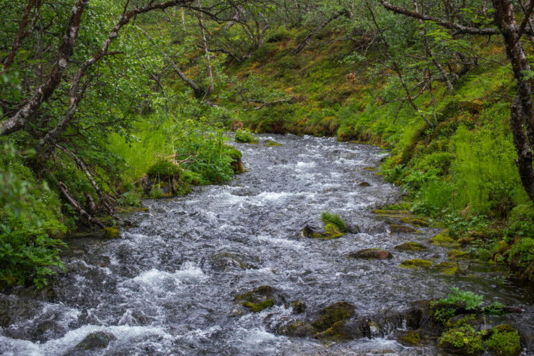 Lappi072020 (13 of 141)