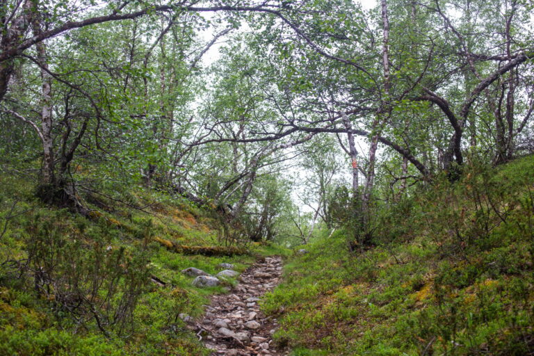 Lappi072020 (17 of 141)