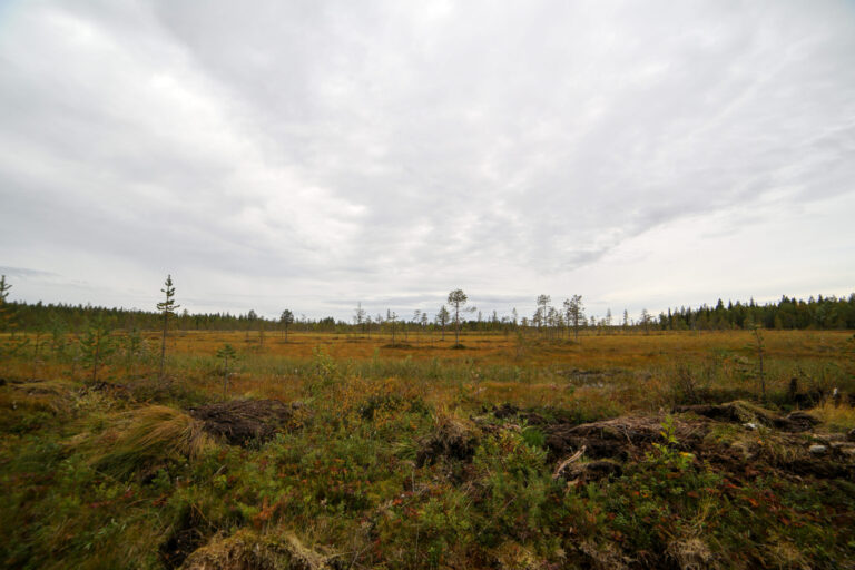 Pohjois-Suomi1