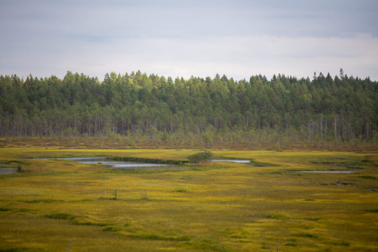 Pohjois-Suomi107