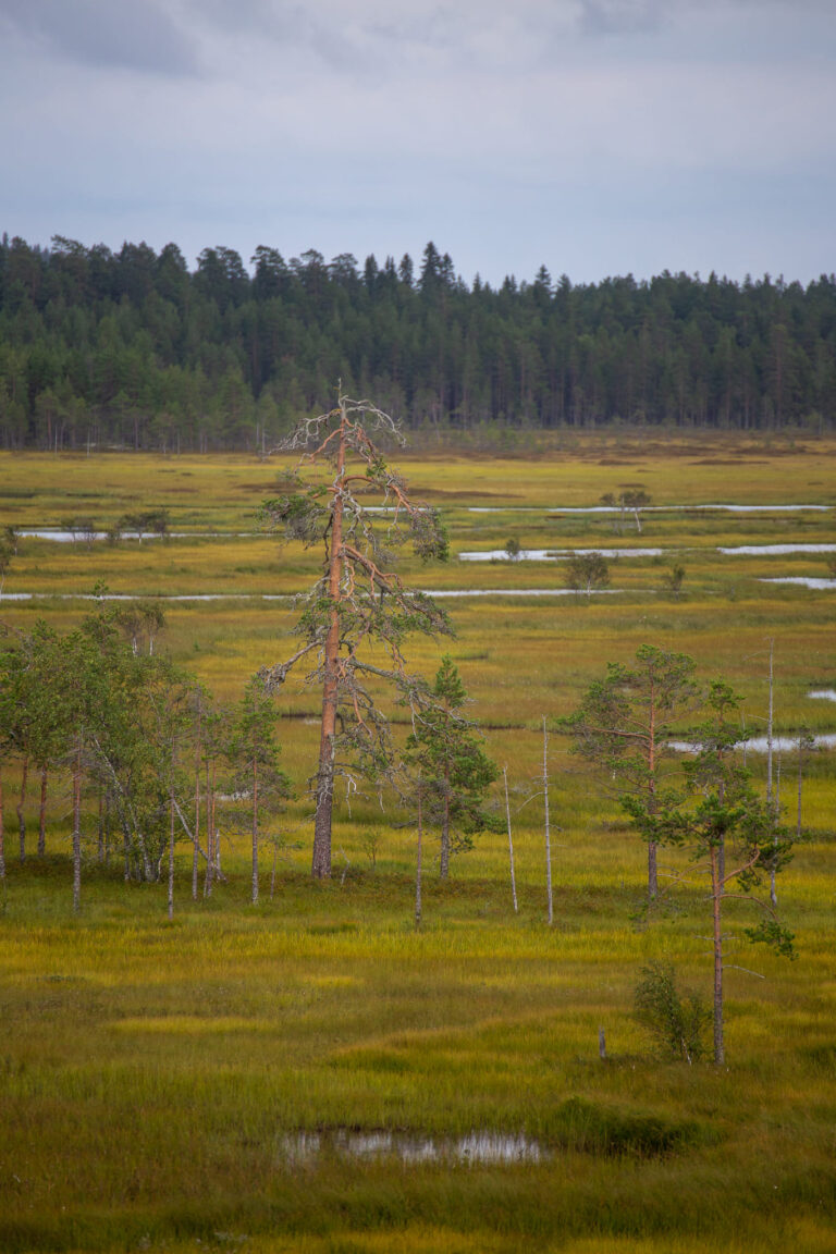 Pohjois-Suomi108