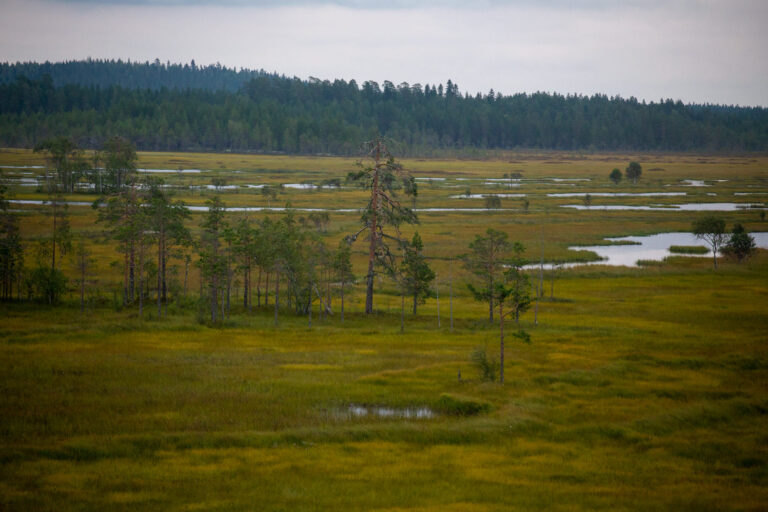 Pohjois-Suomi110