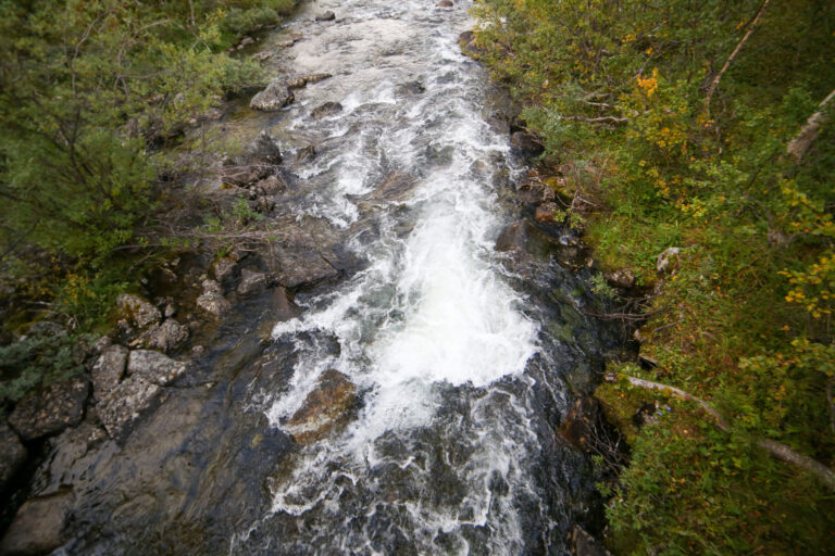 Pohjois-Suomi28