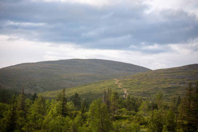 Pohjois-Suomi90