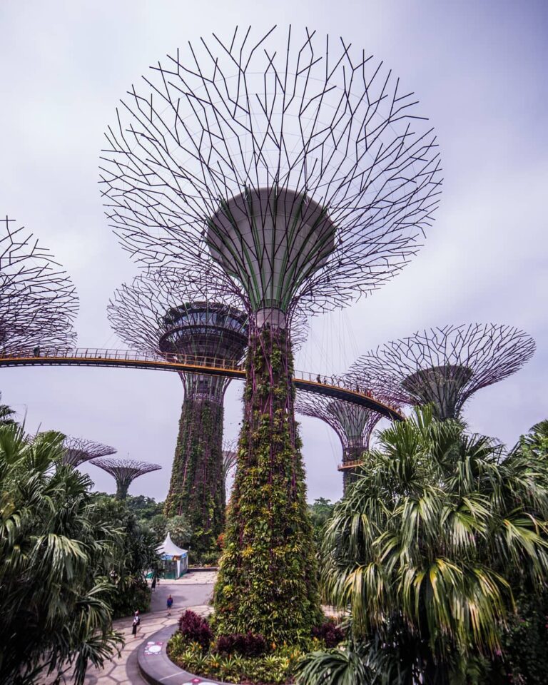 Singapore Garden
