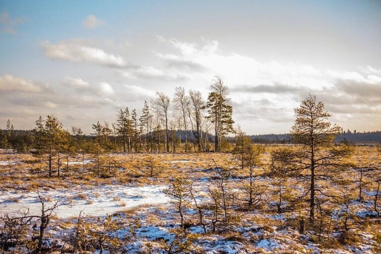 Valkmusan kansallispuisto