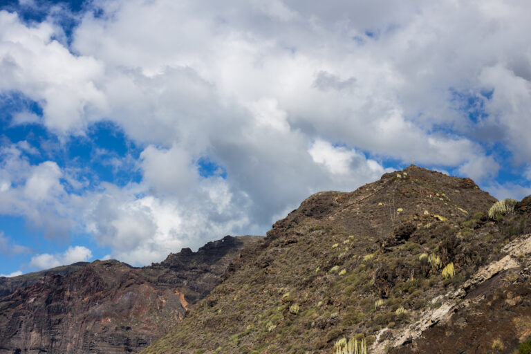 Teneriffa (49 of 50)