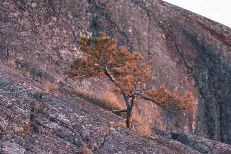 porkkalakuvia (8 of 9)