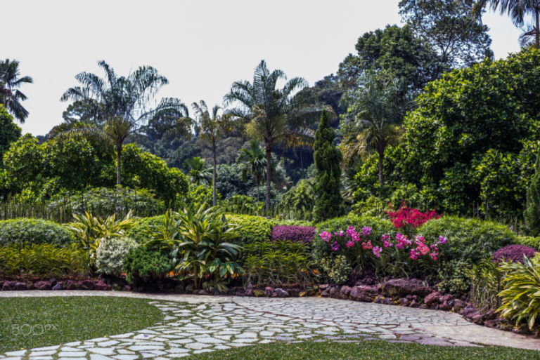 Singapore-1